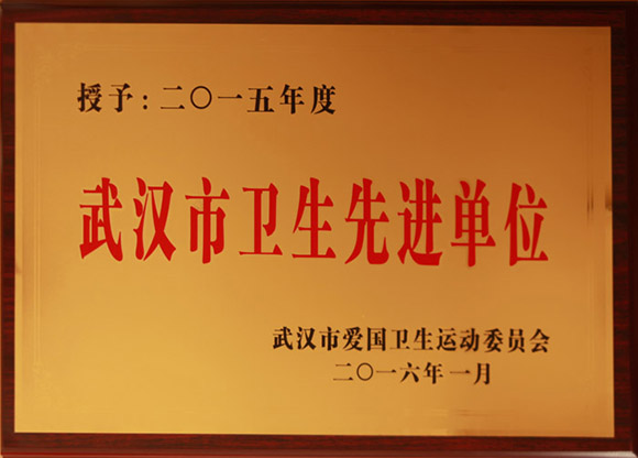 2016年1月荣获2015年度武汉市卫生先进单元